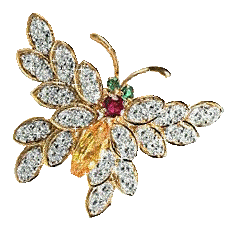 Gif animé bijoux broche